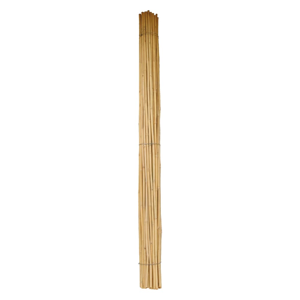 CANNA BAMBU' Ø 24/26 mm. circa - h. mt 2,1 (50 PZ)