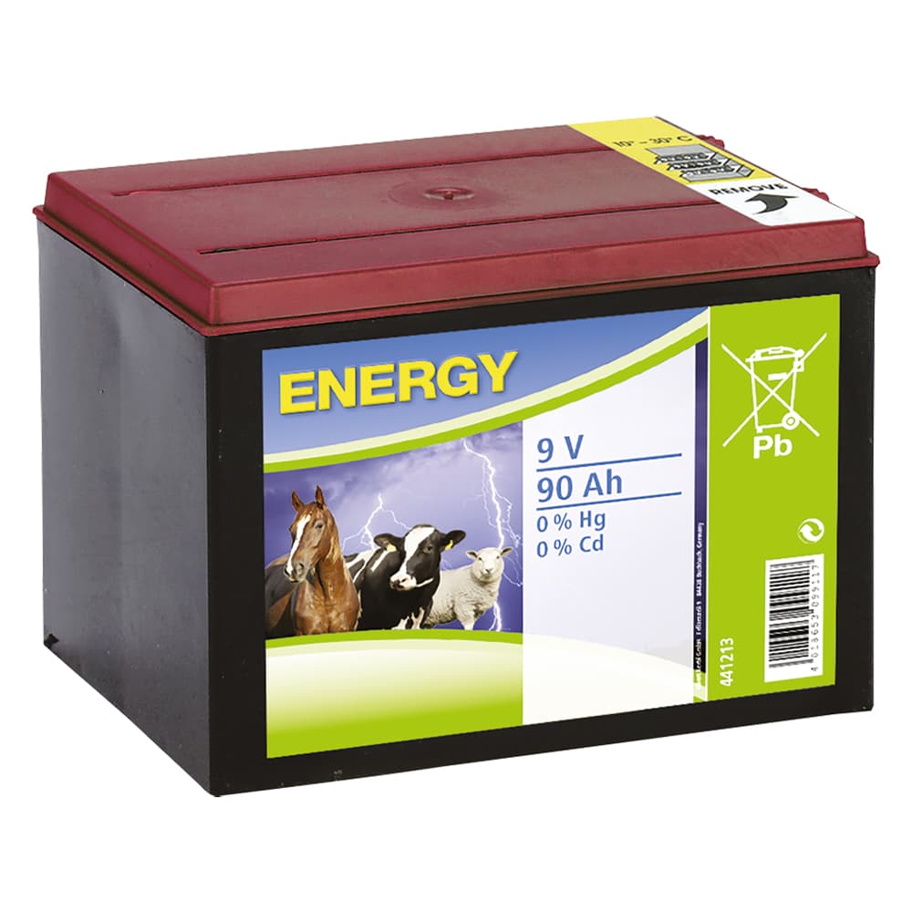 BATTERIA PER ELETTRIFICATORE 9V - 170 Ah