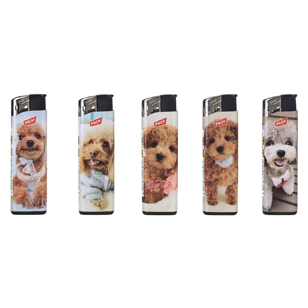 ACCENDINO 'Poodles' (50 PZ)
