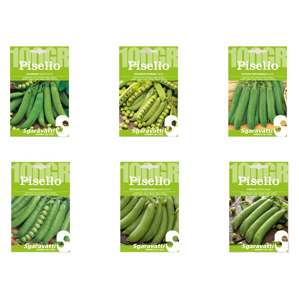 SEMI PER FAVE pisello utrillo (mezza rama) - gr 100 (10 PZ)