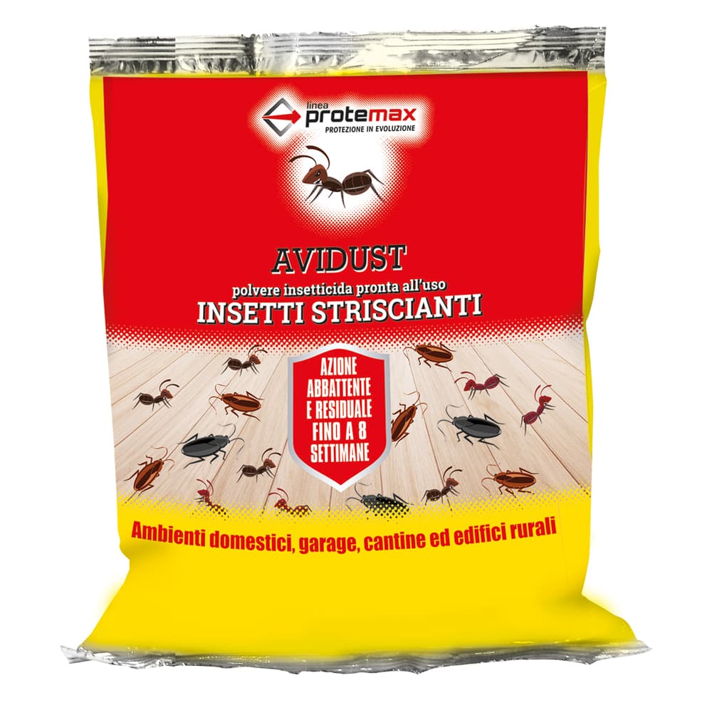 INSETTICIDA IN POLVERE kg 1 - busta