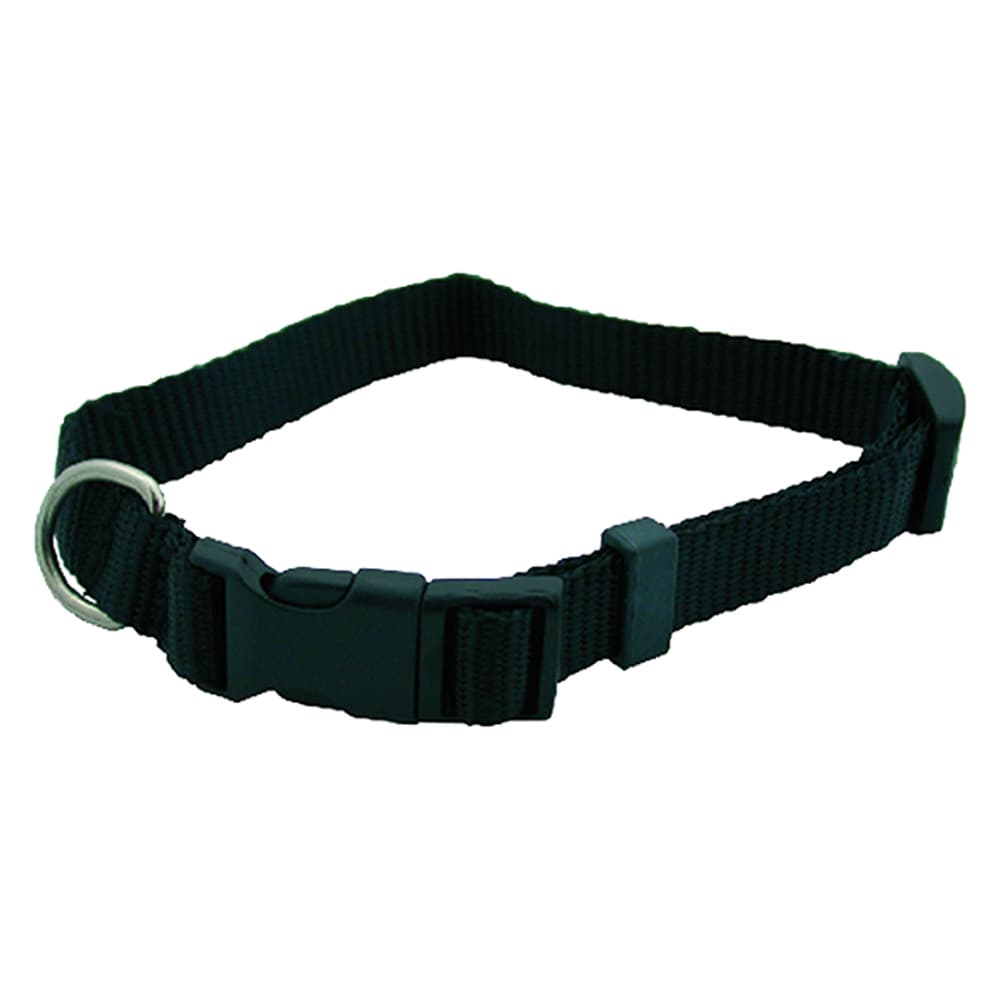 COLLARE PER CANE mm 12 x cm 30 (6 PZ)