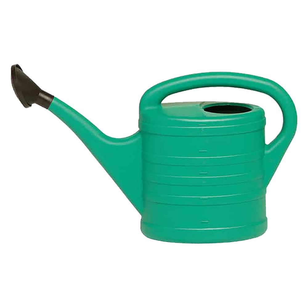 ANNAFFIATOIO Lt. 6 (12 PZ)