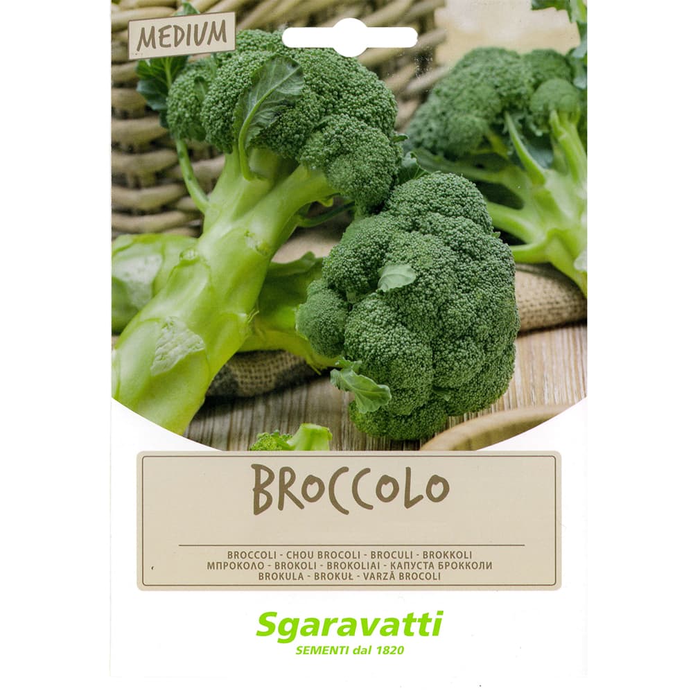 SEMI PER FAVE broccoletto cinquantino - gr 100 (20 PZ)